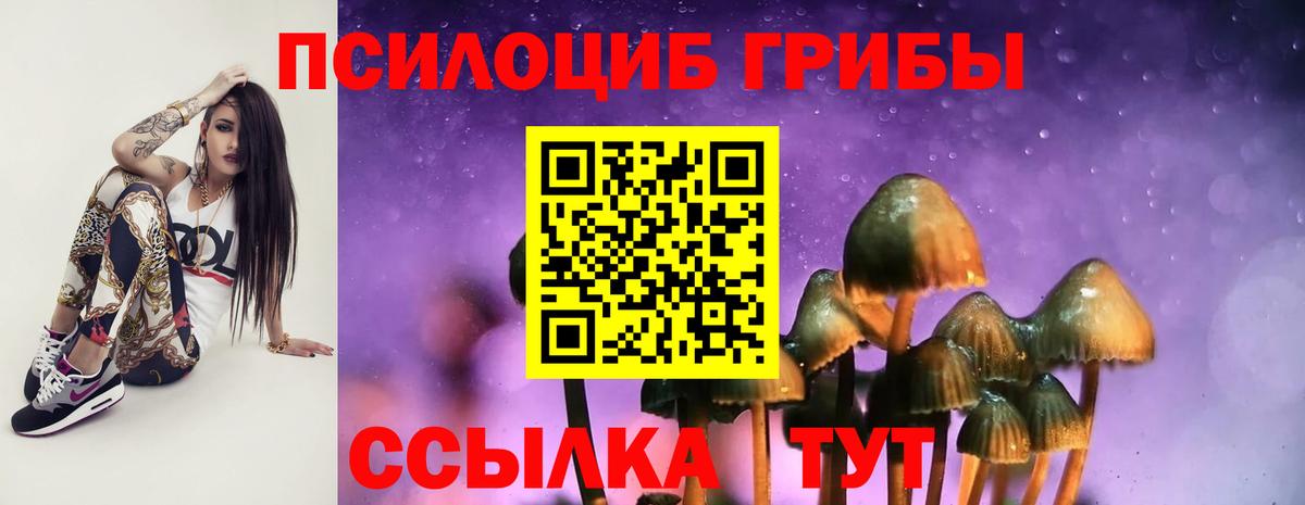 Псилоцибиновые грибы прущие грибы Гуково